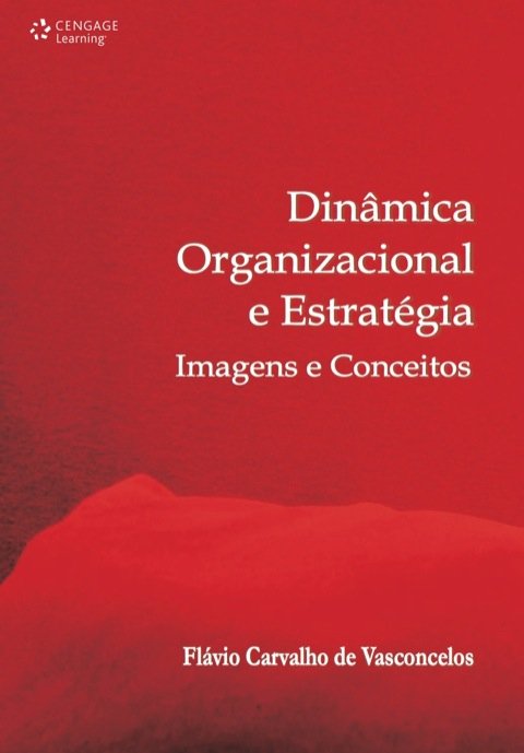 Dinâmica organizacional e estratégia