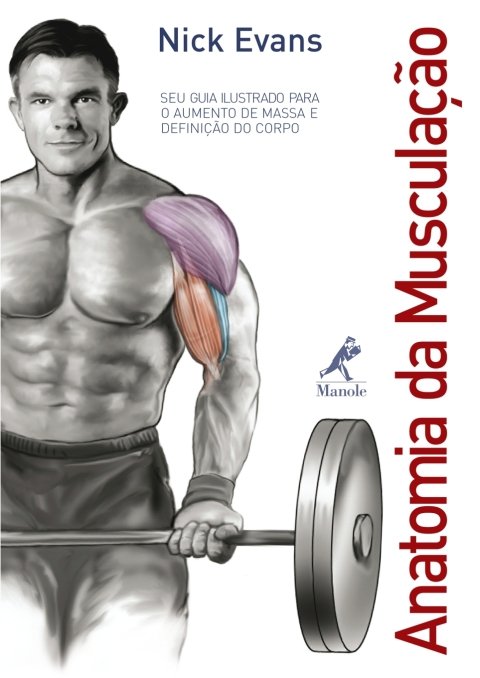 Anatomia da musculação