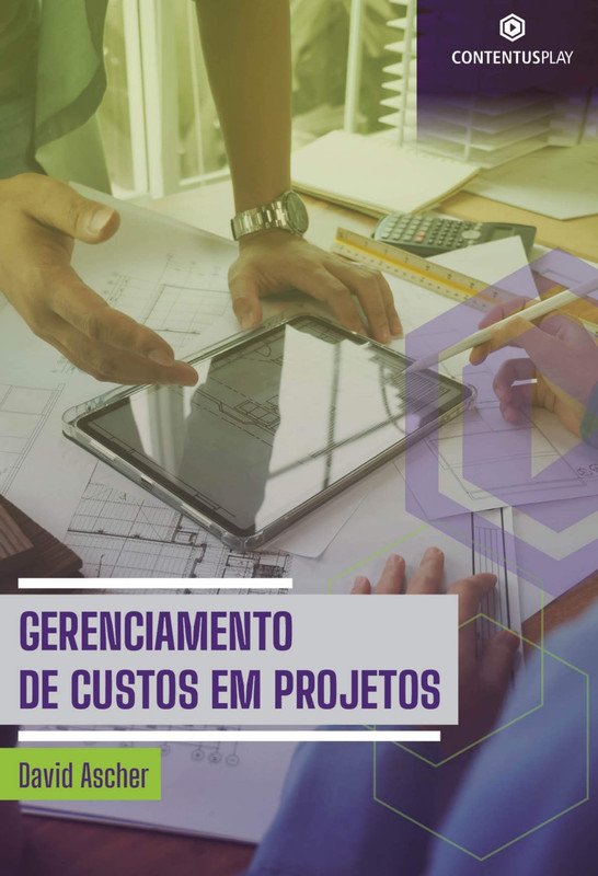 Gerenciamento de Custos em Projetos