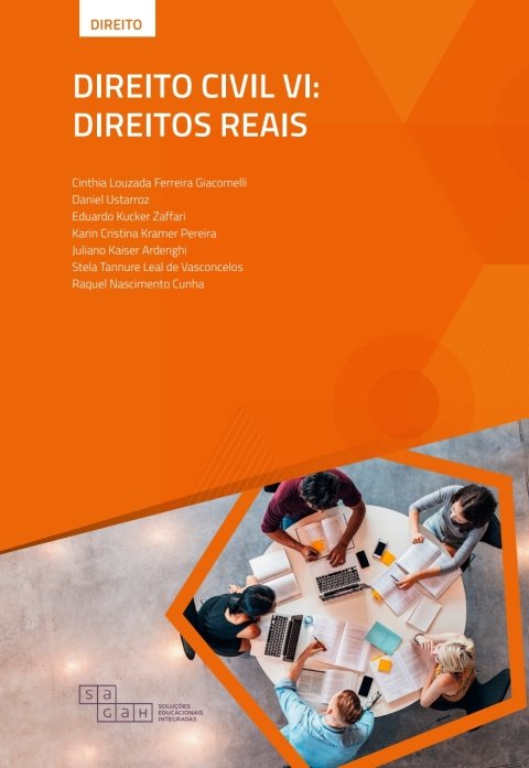 Direito civil, v. 6