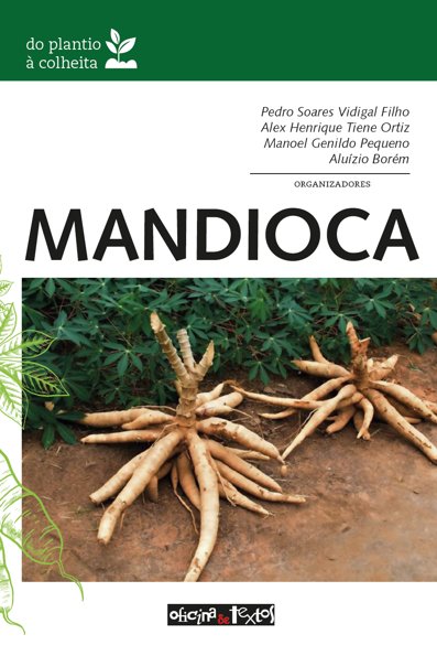 Mandioca do plantio à colheita