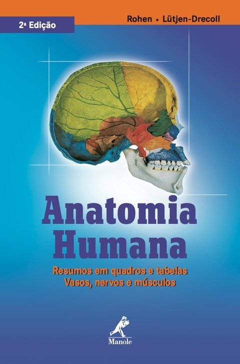 Anatomia humana