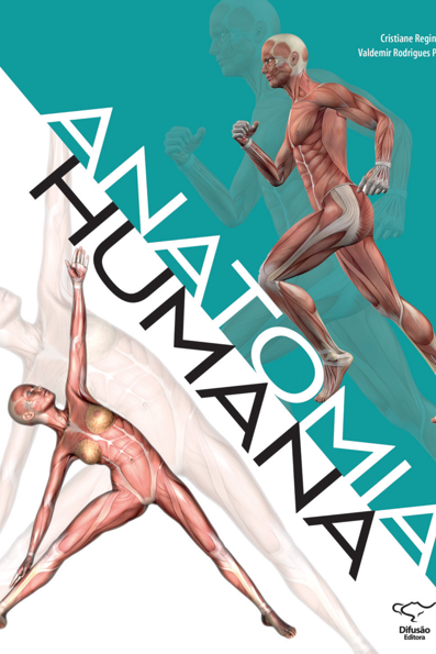 Anatomia humana