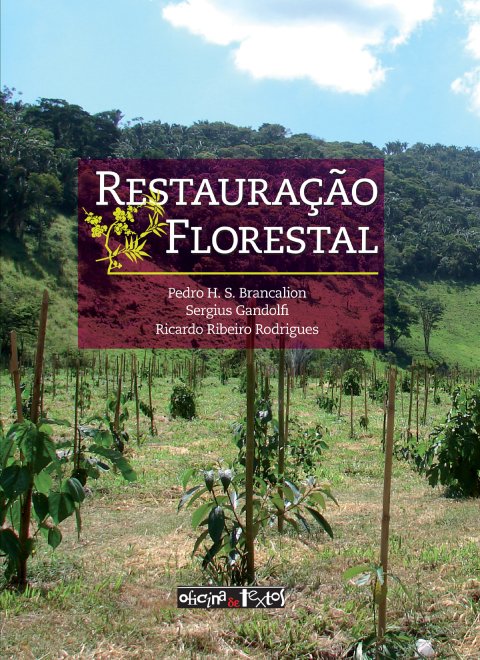 Restauração florestal