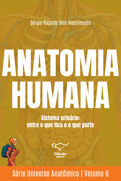 Anatomia humana: sistema urinário
