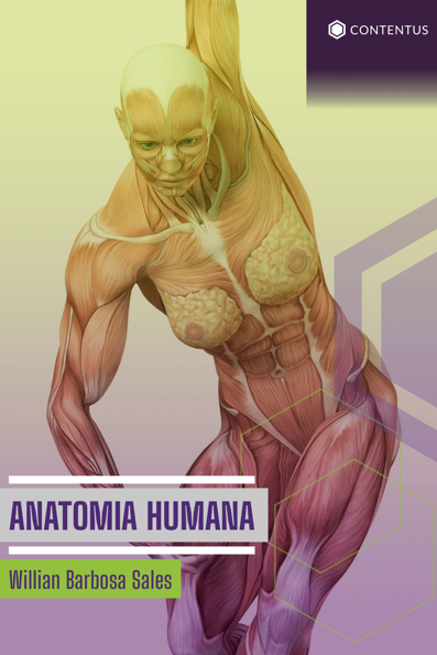 Anatomia humana