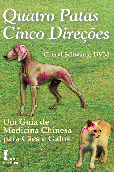 Quatro patas, cinco direções