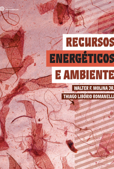 Recursos energéticos e ambiente