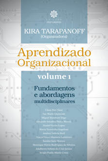Aprendizado organizacional: fundamentos e abordagens multidisciplinares