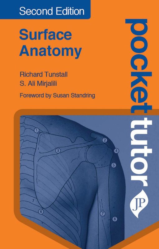 Surface Anatomy