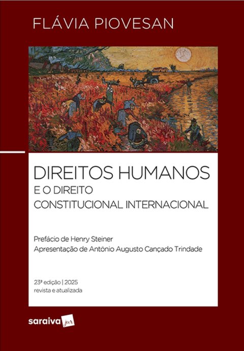 Direitos humanos e o direito constitucional internacional