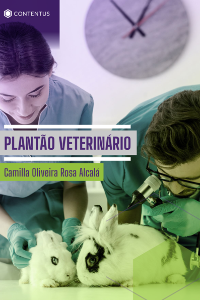 Plantão veterinário