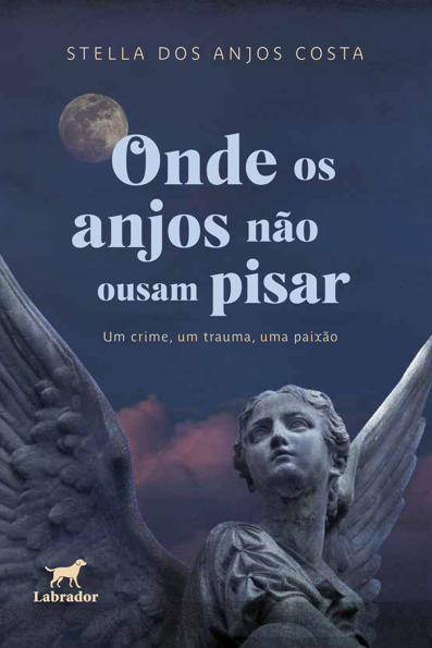 Onde os anjos não ousam pisar: da comunicação do fato à recognição visuogr...