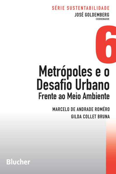 Metrópoles e o desafio urbano