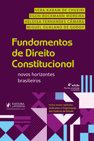 Fundamentos de direito constitucional: novos horizontes brasileiros